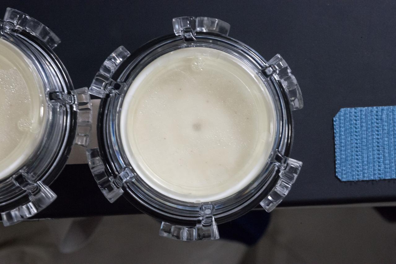 iss050e011727 (11/25/2016) --- View of Aquapad Microbial Contamination after incubation. Photo was taken during Expedition 40.