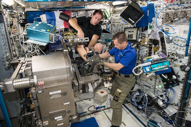 NASA image: Sarcolab-3 Experiment