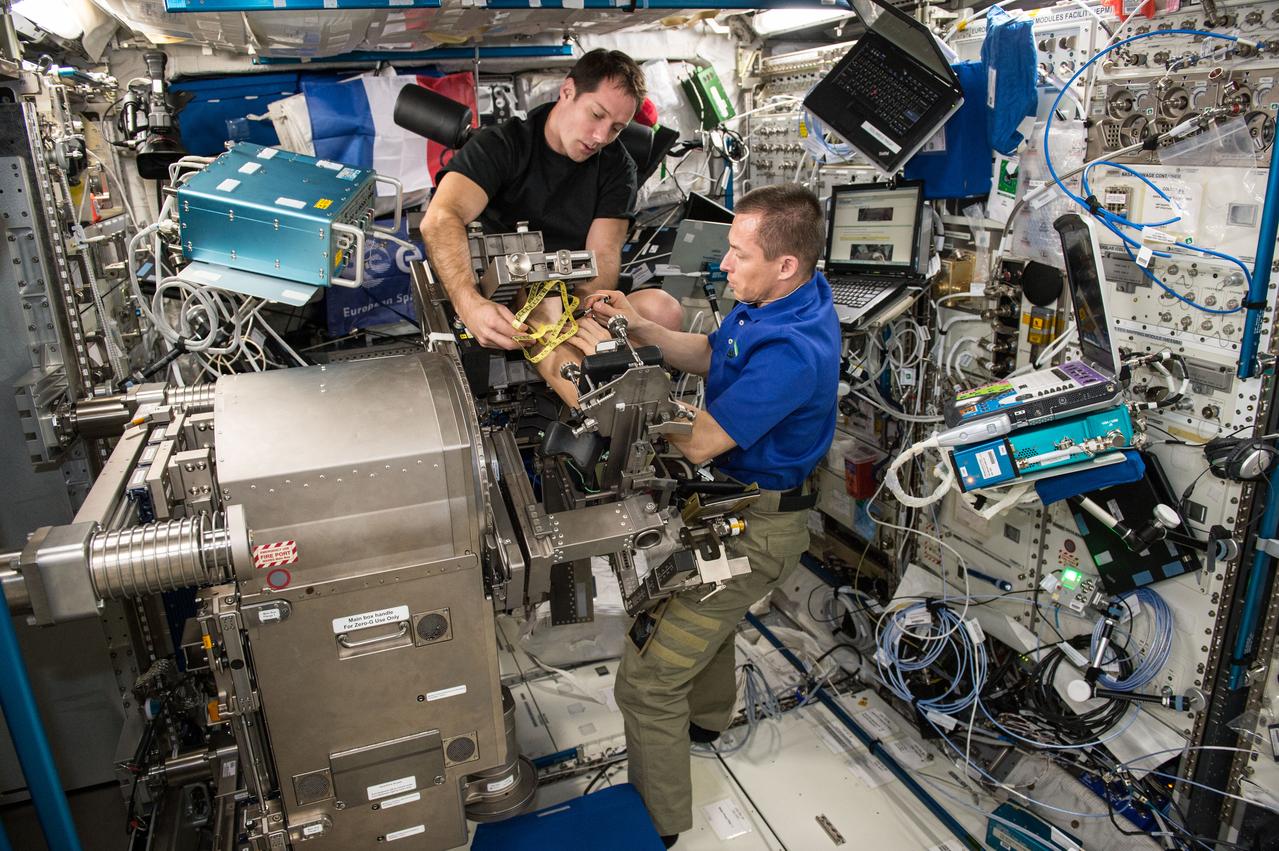 iss050e012389 (11/29/2016) --- European Space Agency (ESA) Thomas Pesquet and Cosmonaut Sergei Ryzhikov during the setup phase of the Sarcolab-3 Experiment in the Columbus Module. Myotendinous and Neuromuscular Adaptation to Long-term Spaceflight (Sarcolab) investigates the adaptation and deterioration of the soleus, or calf muscle, where it joins the Achilles tendon, which links it to the heel and carries loads from the entire body. Muscle fiber samples are taken from crew members before and after flight, and analyzed for changes in structural and chemical properties.