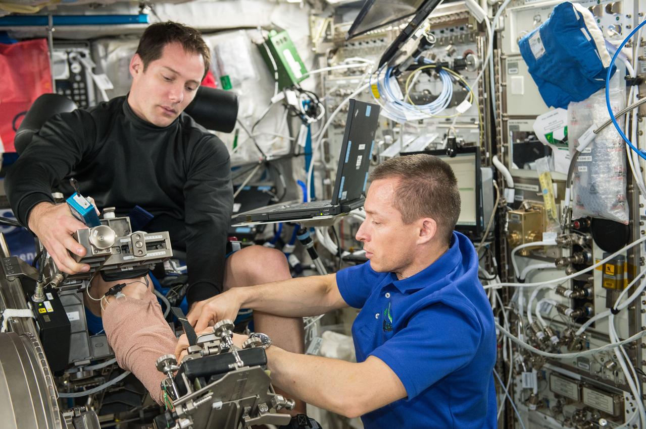 iss050e012915 (11/29/2016) --- European Space Agency (ESA) Thomas Pesquet and Cosmonaut Sergei Ryzhikov during the setup phase of the Sarcolab-3 Experiment in the Columbus Module. Myotendinous and Neuromuscular Adaptation to Long-term Spaceflight (Sarcolab) investigates the adaptation and deterioration of the soleus, or calf muscle, where it joins the Achilles tendon, which links it to the heel and carries loads from the entire body. Muscle fiber samples are taken from crew members before and after flight, and analyzed for changes in structural and chemical properties.