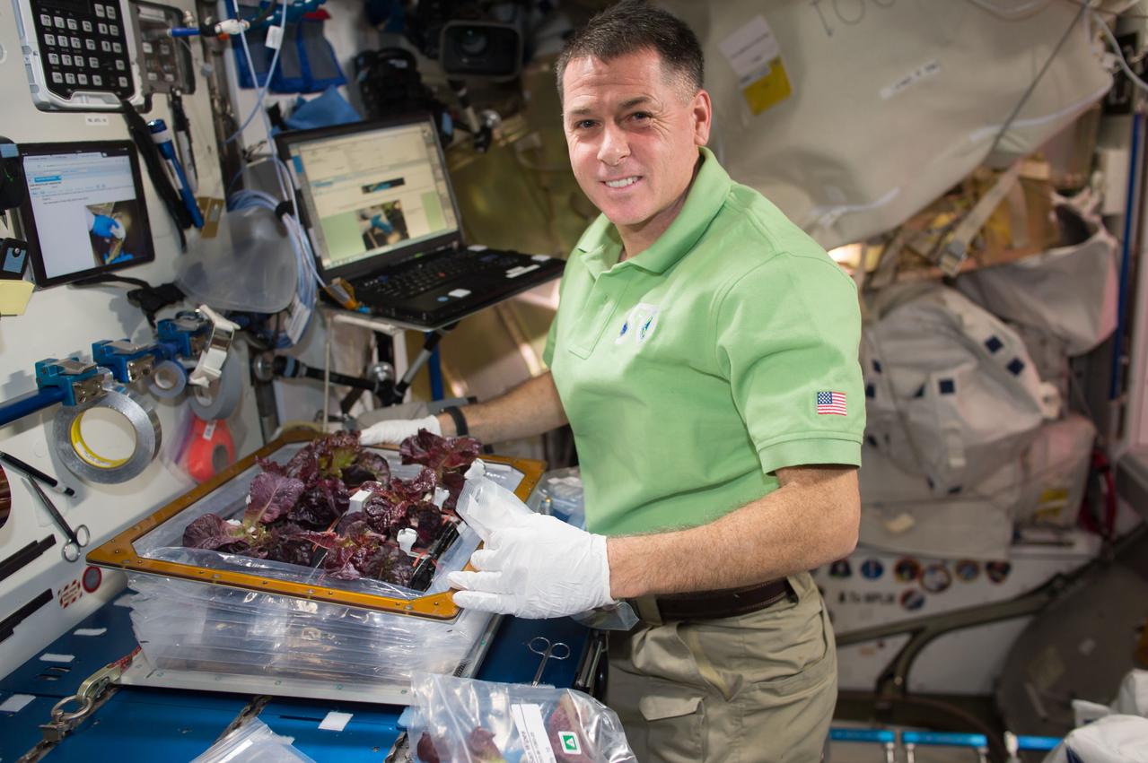 iss050e019642 (12/28/2016) --- NASA astronaut Shane Kimbrough during VEG-03 harvest and stow of Red Romaine lettuce, in the Columbus Module. Veg-03 uses the Veggie plant growth facility to cultivate a type of cabbage, which is harvested in orbit with samples returned to Earth for testing.