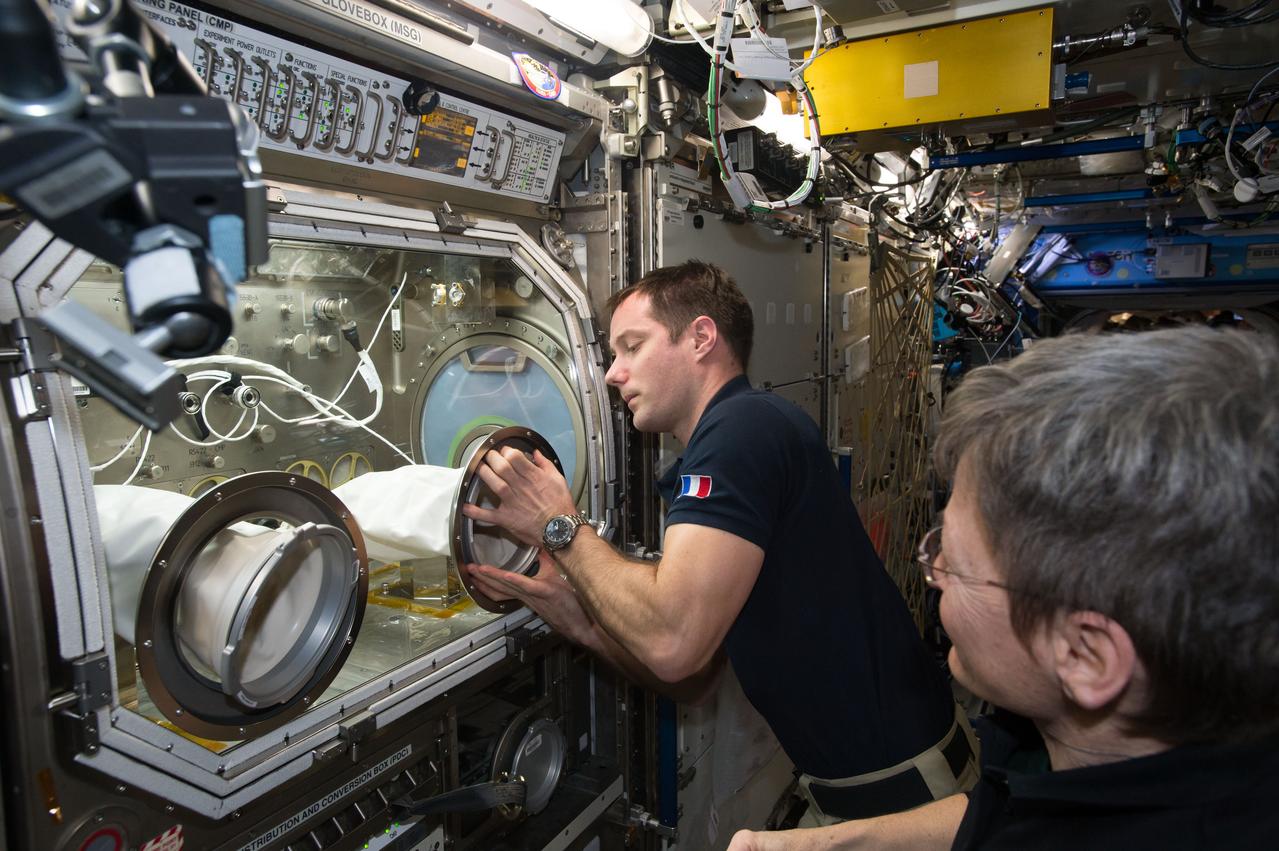 iss050e042167 (2/13/2017) --- European Space Agency (ESA) Thomas Pesquet and NASA astronaut Peggy Whitson setting up the Microgravity Expanded Stem Cells (MESC) Life Science Ancillary Hardware (LSAH) in the Microgravity Science Glovebox (MSG). Microgravity Expanded Stem Cells cultivates human stem cells aboard the International Space Station (ISS) for use in clinical trials to evaluate their use in treating disease.