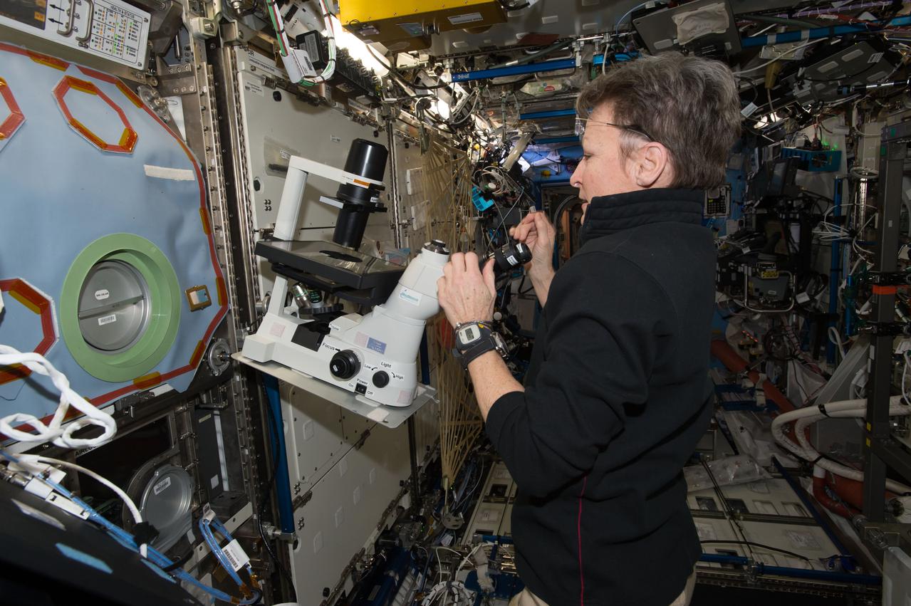 iss050e052142 (Feb. 21, 2017) --- Expedition 50 Flight Engineer Peggy Whitson sets up a microscope in support of the Microgravity Expanded Stem Cells payload outside the Microgravity Science Glovebox housed inside the U.S. Destiny laboratory module.