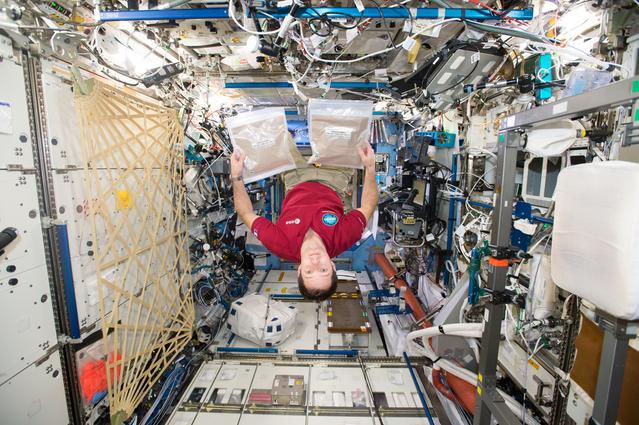 NASA image: Tomatospheres-5