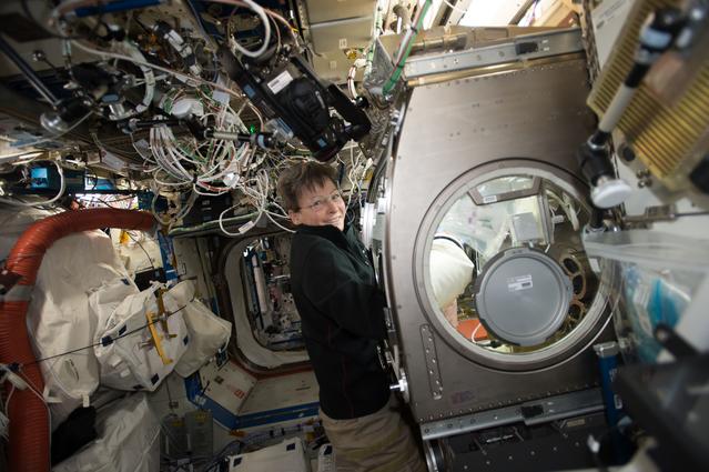 NASA image: Microgravity Expanded Stem Cells Experiment