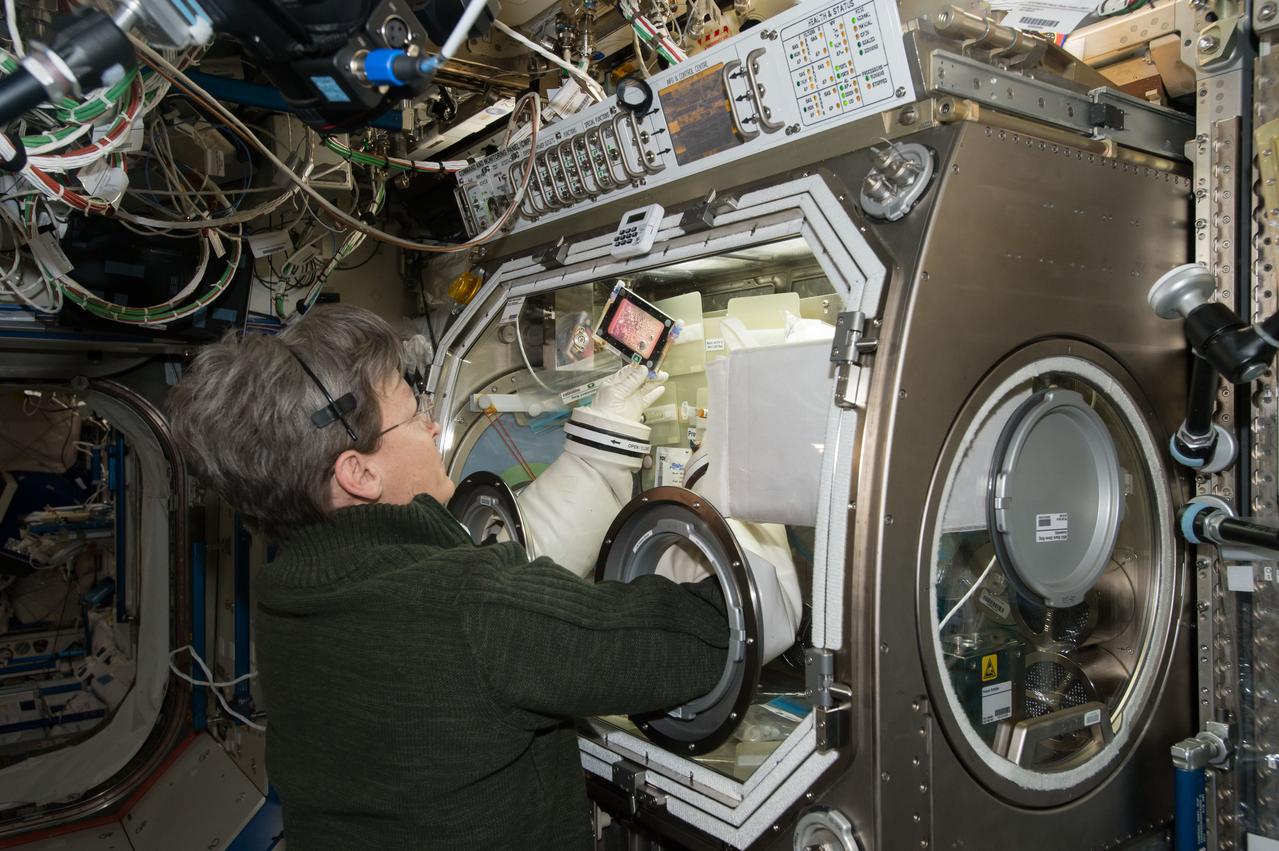 iss050e054453 (3/4/2017) --- NASA astronaut Peggy Whitson during Microgravity Expanded Stem Cells (MESC) clean up, in the Microgravity Science Glovebox (MSG). Microgravity Expanded Stem Cells observes cell growth and morphological characteristics in microgravity and analyzes gene expression profiles of cells grown in microgravity.