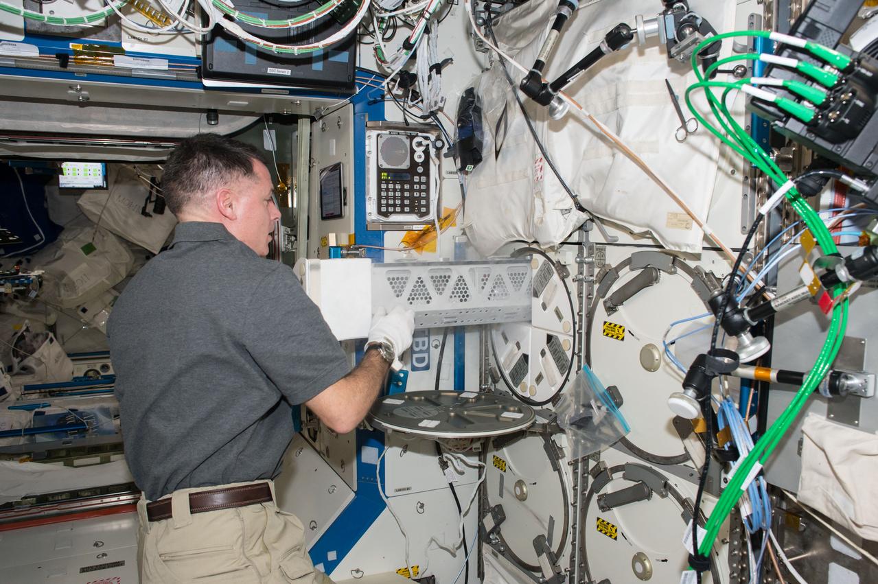 iss050e057444 (3/15/2017) --- NASA astronaut Shane Kimbrough removing a storage locker in the Minus Eighty-degree Laboratory Freezer for ISS (MELFI) to store samples from an experiment, in the U.S. Laboratory. The Minus Eighty-Degree Laboratory Freezer for ISS (MELFI) is a cold storage unit that maintains experiment samples at ultra-cold temperatures throughout a mission.