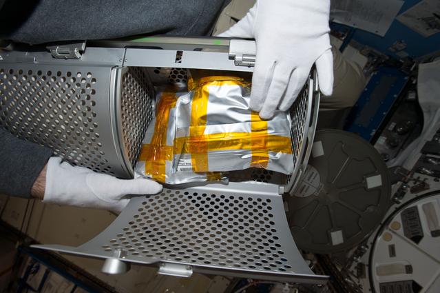 NASA image: Auxin Transport Aluminum Bag MELFI Insertion