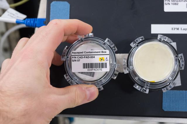 NASA image: Aquapad Microbial Contamination