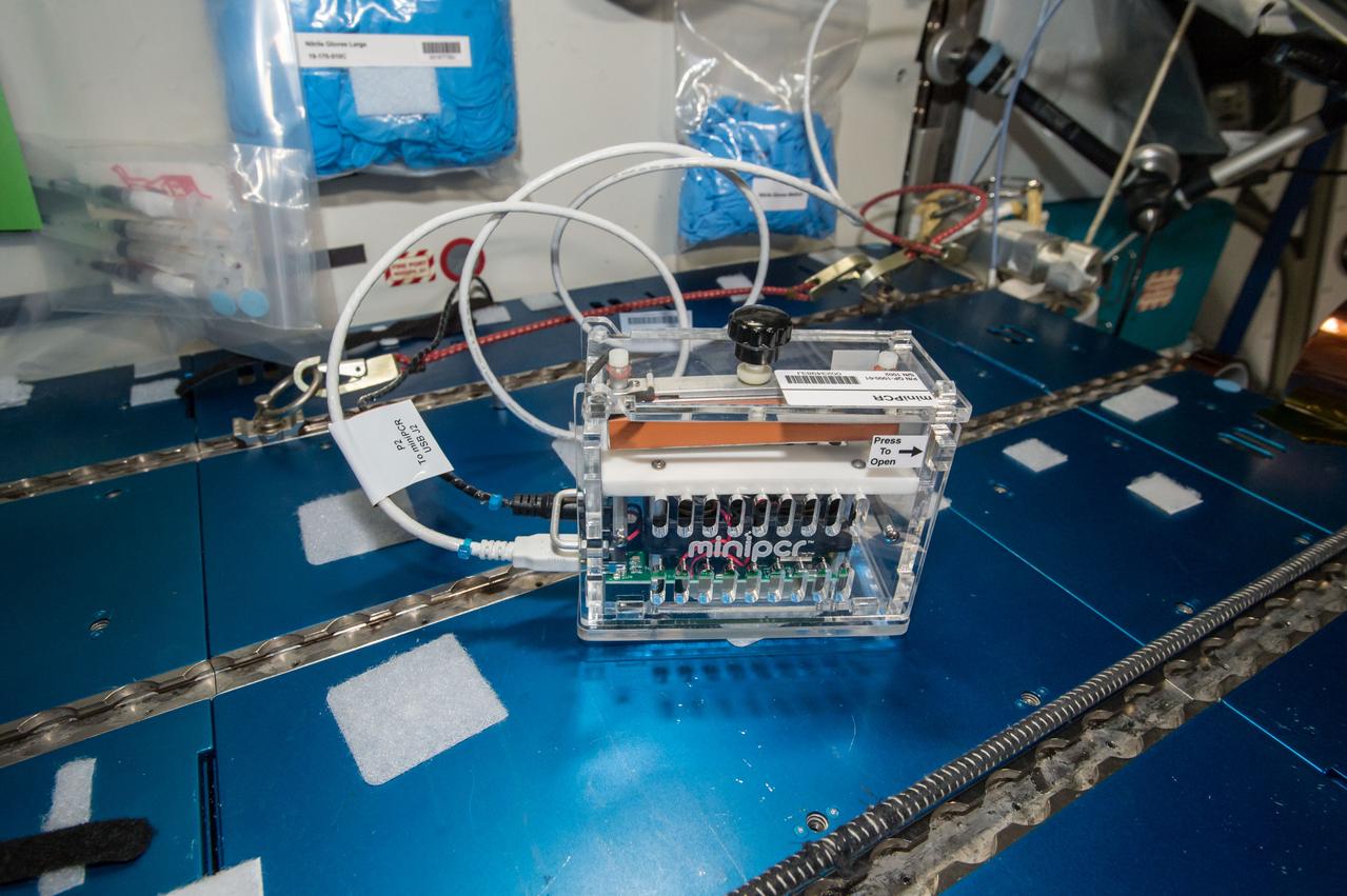 iss051e029016 (4/28/2017) --- Crew members on the International Space Station completed a new session of the Genes in Space 2 investigation. Spaceflight causes many changes to the human body, including alterations in DNA and a weakened immune system. This study uses a new technology to study DNA in space to try and safeguard crew health. Credits: NASA