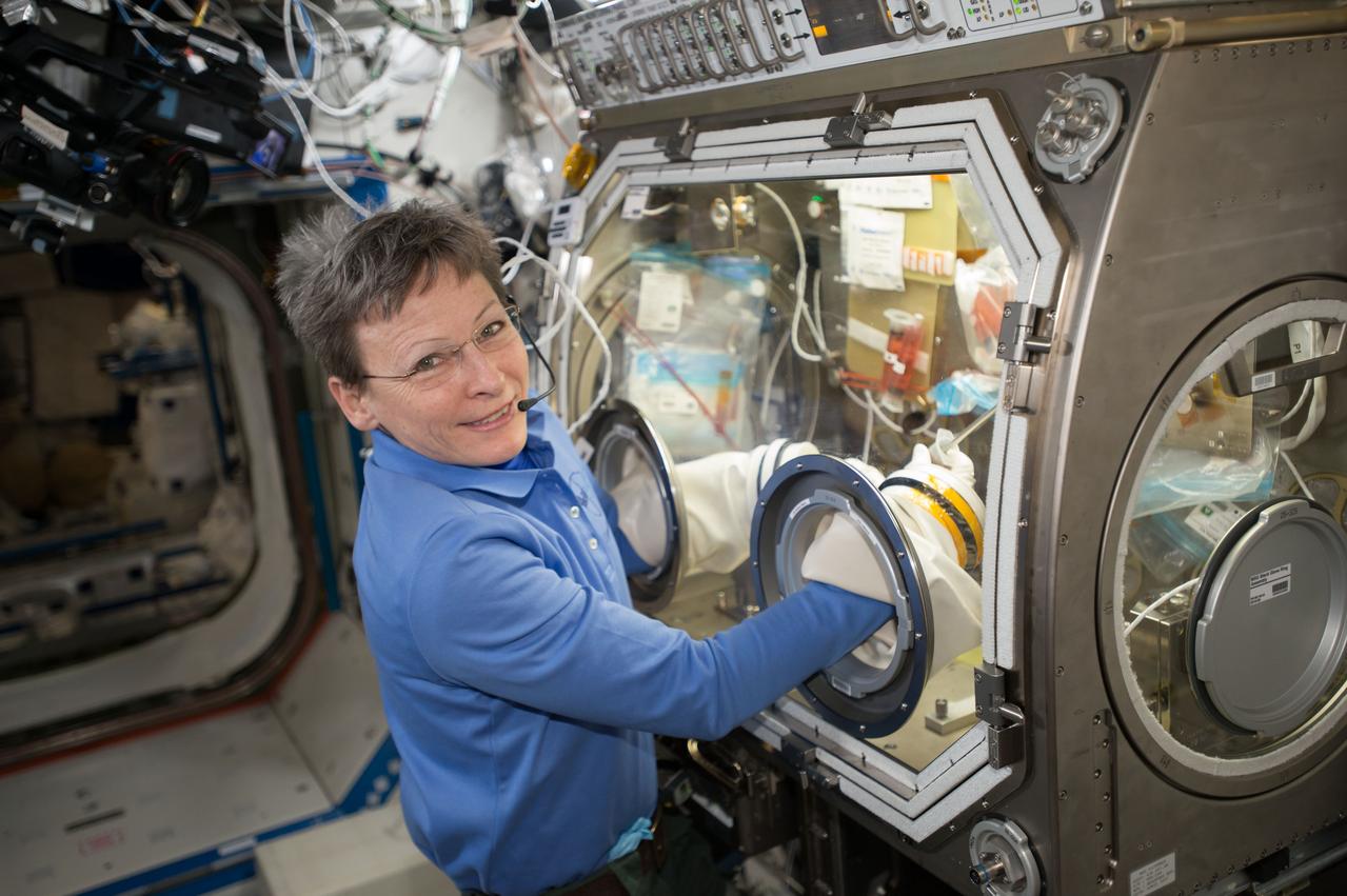 iss051e034104 (5/02/2017) --- NASA astronaut Peggy Whitson pauses for a photo while working inside the Microgravity Sciences Glovebox (MSG) to conduct the first BioCell media change for the OsteoOmics experiment. Image was taken in the Destiny U.S. Laboratory.