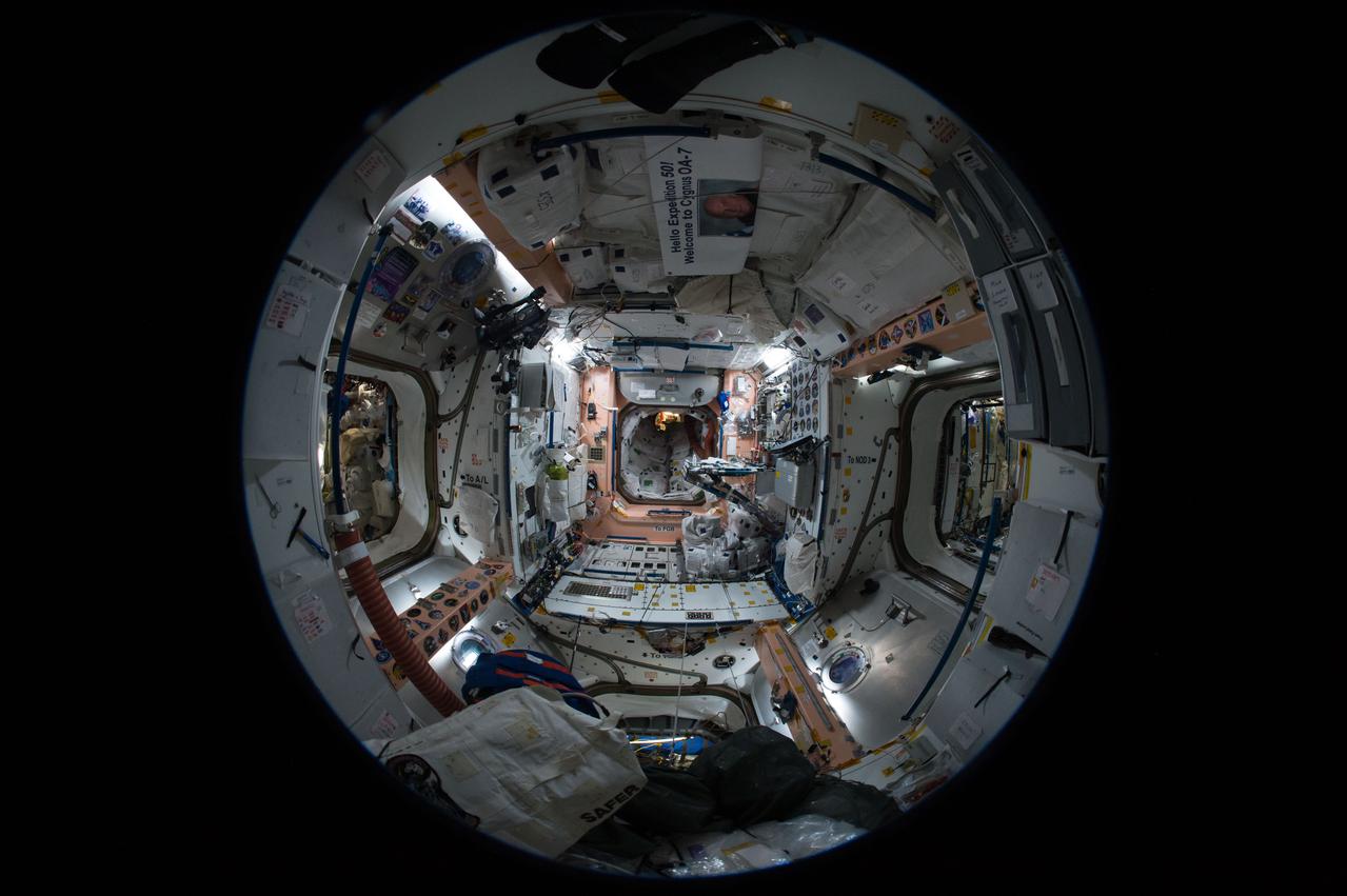 iss051e040946 (5/11/2017) --- A fish-eye view looking aft in the Unity Node 1, taken for a Google Street View of the ISS.