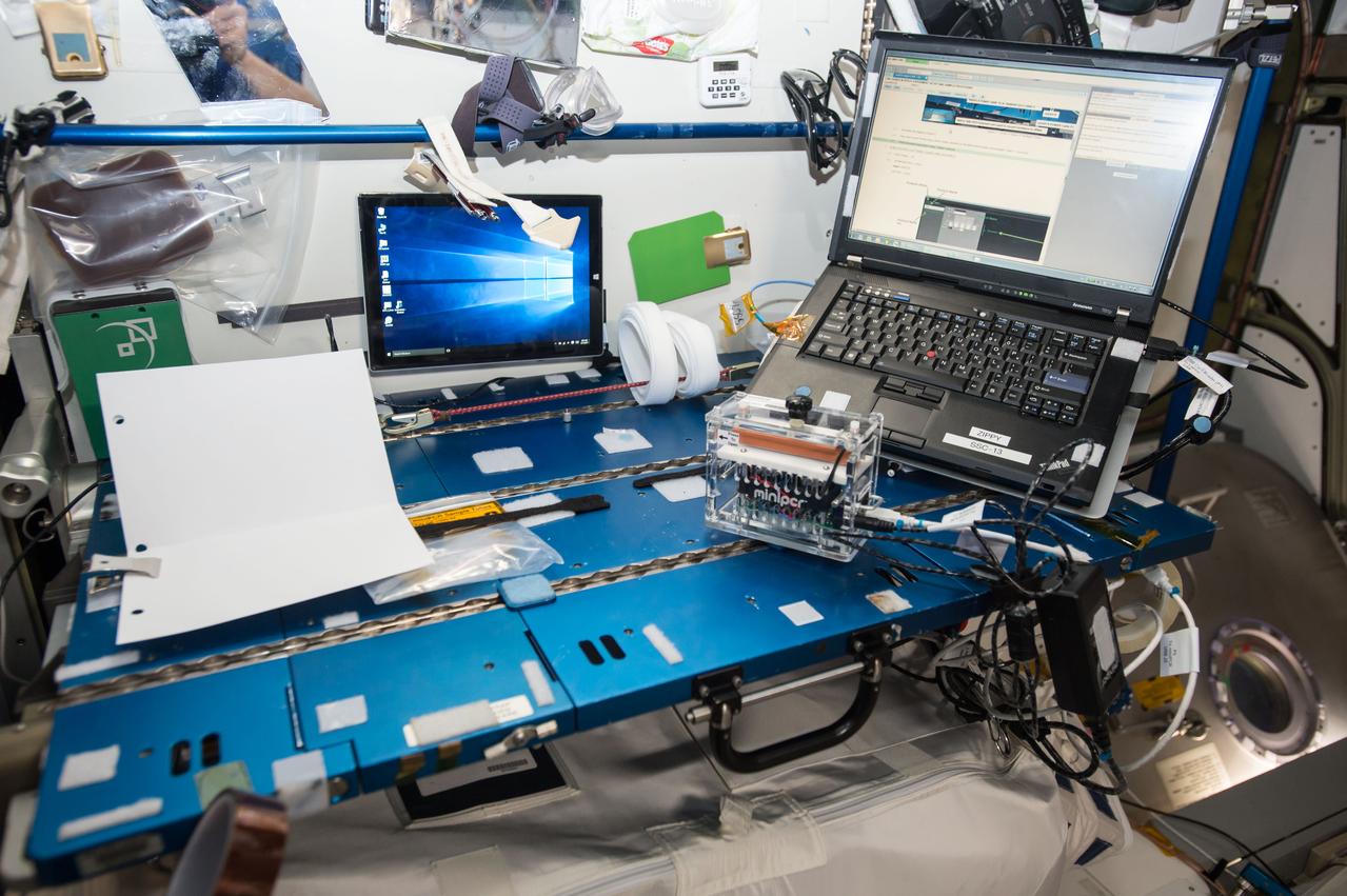 iss051e044497 (5/17/2017) --- Crew members on the International Space Station completed a new session of the Genes in Space 2 investigation. Spaceflight causes many changes to the human body, including alterations in DNA and a weakened immune system. This study uses a new technology to study DNA in space to try and safeguard crew health. Credits: NASA