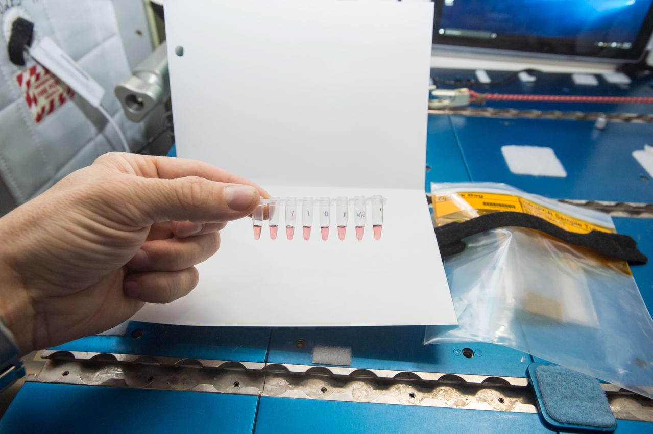 iss051e044502 (5/17/2017) --- Crew members on the International Space Station completed a new session of the Genes in Space 2 investigation. Spaceflight causes many changes to the human body, including alterations in DNA and a weakened immune system. This study uses a new technology to study DNA in space to try and safeguard crew health. Credits: NASA