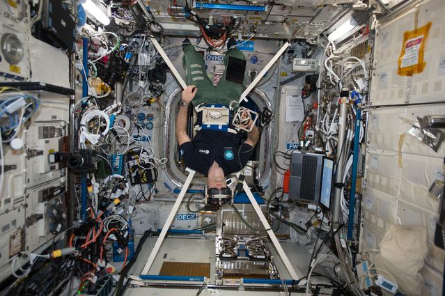 NASA image: iss051e049152