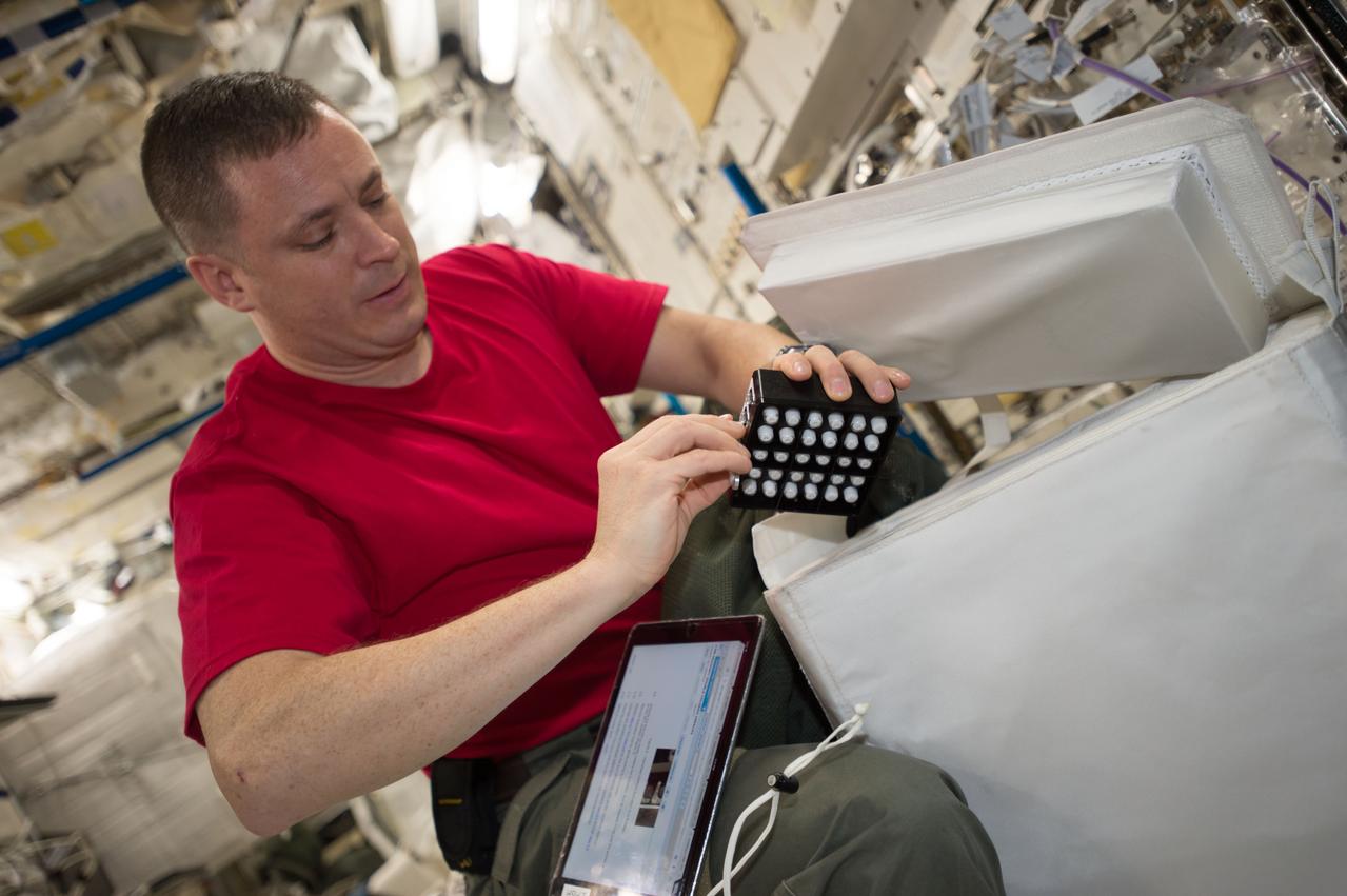 iss052e000508 (June 6, 2017) --- View of astronaut Jack Fischer working with the Neutron Crystallographic Studies of Human Acetylcholinesterase for the Design of Accelerated Reactivators (CASIS PCG 6) experiment in the Japanese Experiment Module