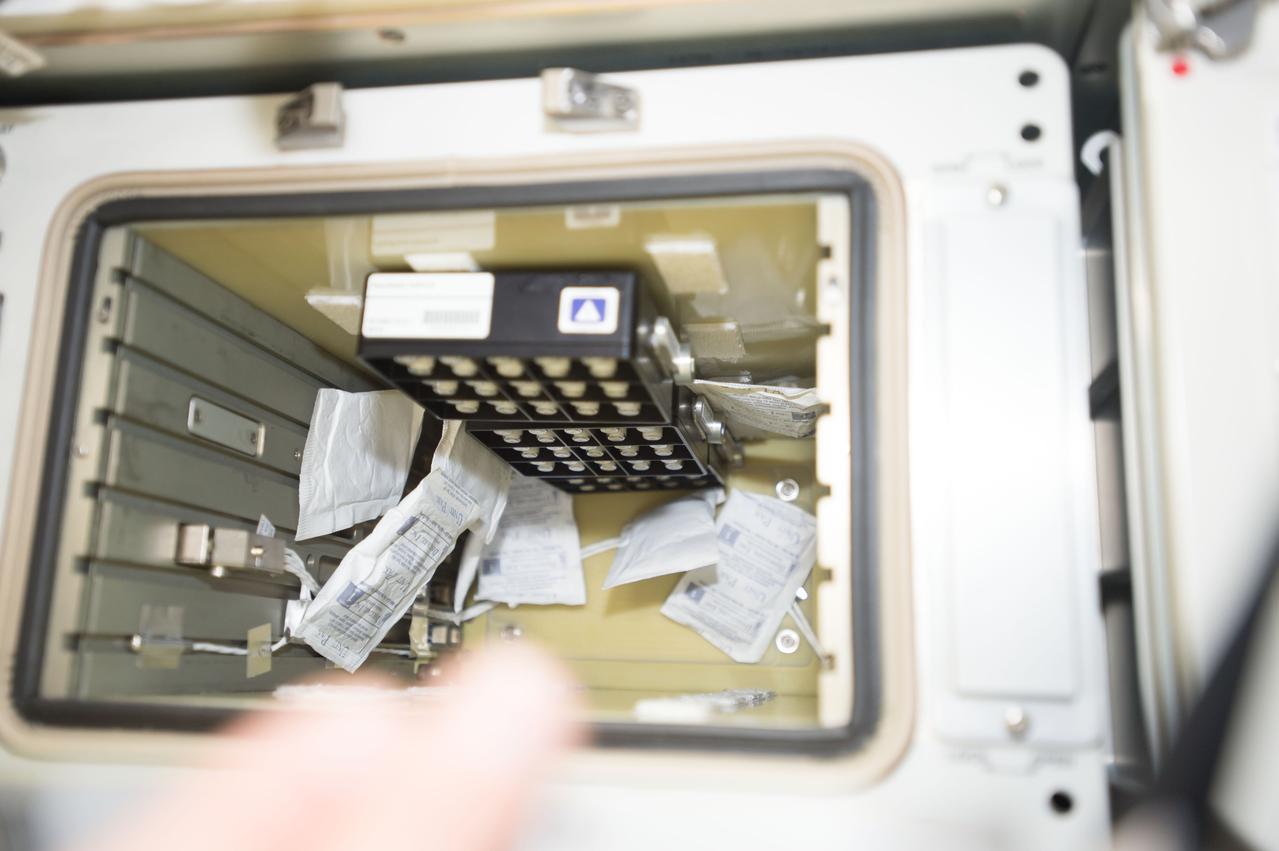 iss052e000516 (6/6/2017) --- View of the Neutron Crystallographic Studies of Human Acetylcholinesterase for the Design of Accelerated Reactivators (CASIS PCG 6) experiment in the Japanese Experiment Module (JEM).