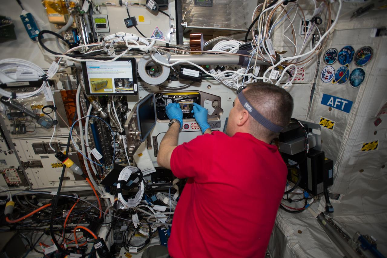 iss052e002352 (6/12/2017) --- A view of NASA astronaut Jack Fischer replacing the European Modular Cultivation System (EMCS) Experiment Containers (ECs) with new ECs prepared for the Seedling Growth 3 experiment. Seedling Growth-3 is the third part of the Seedling Growth Experiment series, using the plant Arabidopsis thaliana to investigate the effects of gravity on the cellular signaling mechanisms of light sensing in plants (phototropism), and to investigate cell growth and proliferation responses to light stimulation under microgravity conditions.