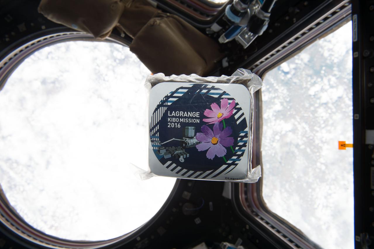 iss052e009464 (6/29/2017) --- A view of items from the NanoRacks-Lagrange investigation floating in front of the windows in the Cupola module aboard the International Space Station (ISS). NanoRacks-Lagrange seeks to increase interest in space. For this investigation, student photos and printed logos sheets are launched to the International Space Station (ISS) with a message card. Additionally, plant seeds are flown to the ISS. The students plant the seeds once they return to Earth and compare them to plants grown from regular seeds. Students are able to touch and feel close to space through this experiment.