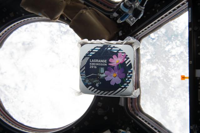 NASA image: NanoRacks Module-48 investigation