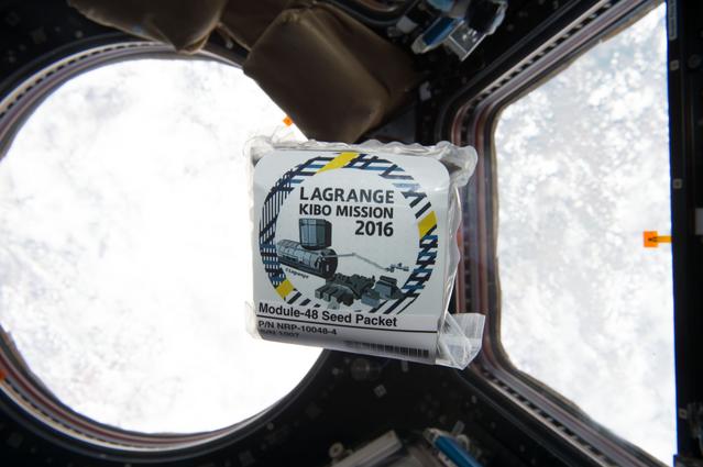 NASA image: NanoRacks Module-48 investigation