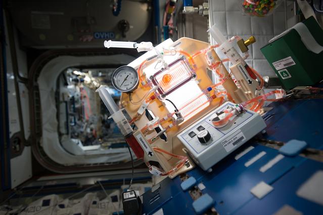 NASA image: Capillary Structures for Exploration Life Support (Capillary Structures)