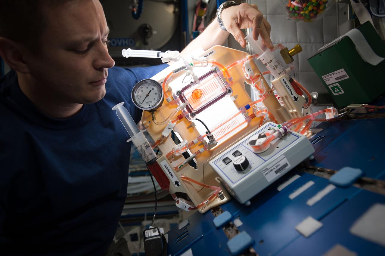 iss052e013087 (7/10/2017) NASA astronaut Jack Fischer is photographed during setup of hardware for the Capillary Structures for Exploration Life Support (Capillary Structures) two sorbent demonstrations. The Capillary Structures for Exploration Life Support (Capillary Structures) investigation studies a new method using structures of specific shapes to manage fluid and gas mixtures. The investigation studies water recycling and carbon dioxide removal, benefiting future efforts to design lightweight, more reliable life support systems for future space missions.