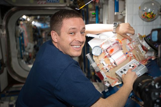 NASA image: Capillary Structures for Exploration Life Support (Capillary Structures)
