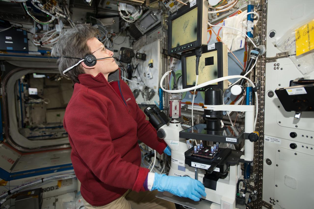 iss052e014201 (7/11/2017) --- NASA astronaut Peggy Whitson uses a microscope to view Magnetic 3D Biocells. This investigation uses magnetized cells and tools to make it easier to handle cells and cultures and to improve the reproducibility of experiments.
