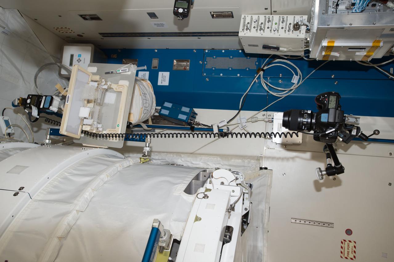 iss052e016460 (7/19/2017) --- A view  taken of Capillary Structures setup in the Japanese Experiment Module (JEM) beside the internal airlock. This investigation studies a new method using structures of specific shapes to manage fluid and gas mixtures. It also studies water recycling and carbon dioxide removal, benefiting future efforts to design lightweight, more reliable life support systems for future space missions.