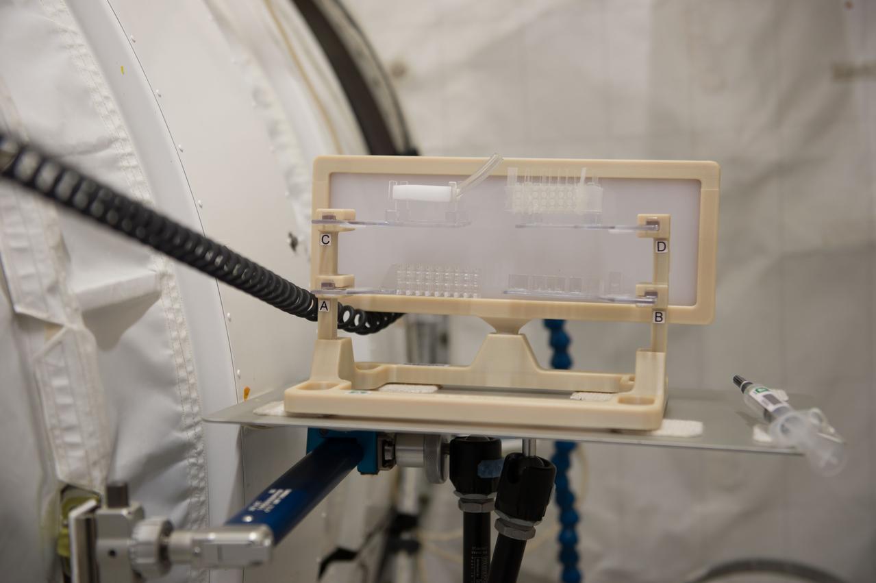 iss052e016481 (7/19/2017) --- A view  taken of hardware for the Capillary Structures investigation in the Japanese Experiment Module (JEM). This investigation studies a new method using structures of specific shapes to manage fluid and gas mixtures. It also studies water recycling and carbon dioxide removal, benefiting future efforts to design lightweight, more reliable life support systems for future space missions.
