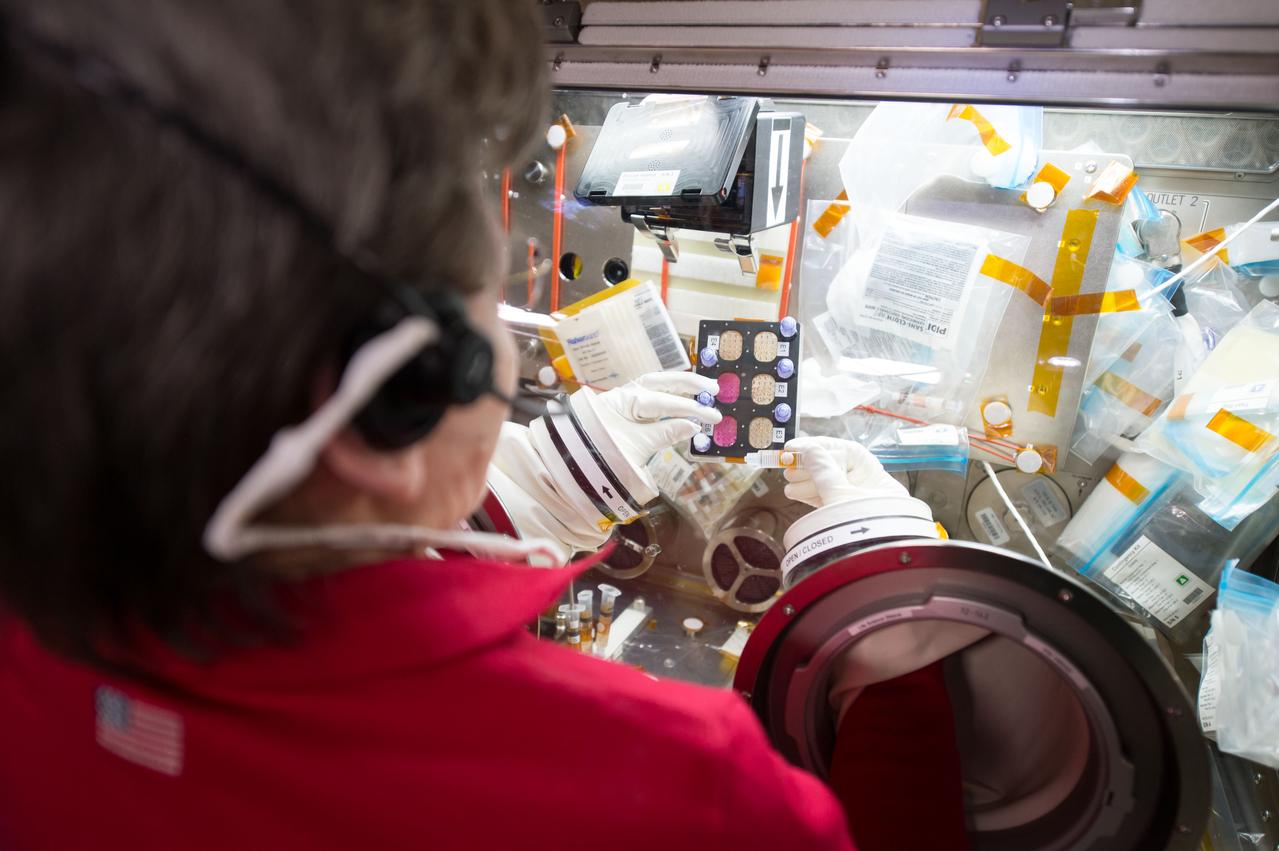 iss052e018939 (7/24/2017) --- NASA astronaut Peggy Whitson working with the Efficacy and Metabolism of Azonafide Antibody-Drug Conjugates in Microgravity (ADCs in Microgravity). The ADCs in Microgravity investigation evaluates new antibody-drug conjugates that combine an immune-activating drug with antibodies in order to target only cancer cells, increasing the effectiveness of chemotherapy and reducing its side effects. In microgravity, cancer cells grow in three-dimensional, spheroid structures that closely resemble their form in the human body, allowing for better drug testing. This investigation may accelerate development of targeted therapies for cancer patients.
