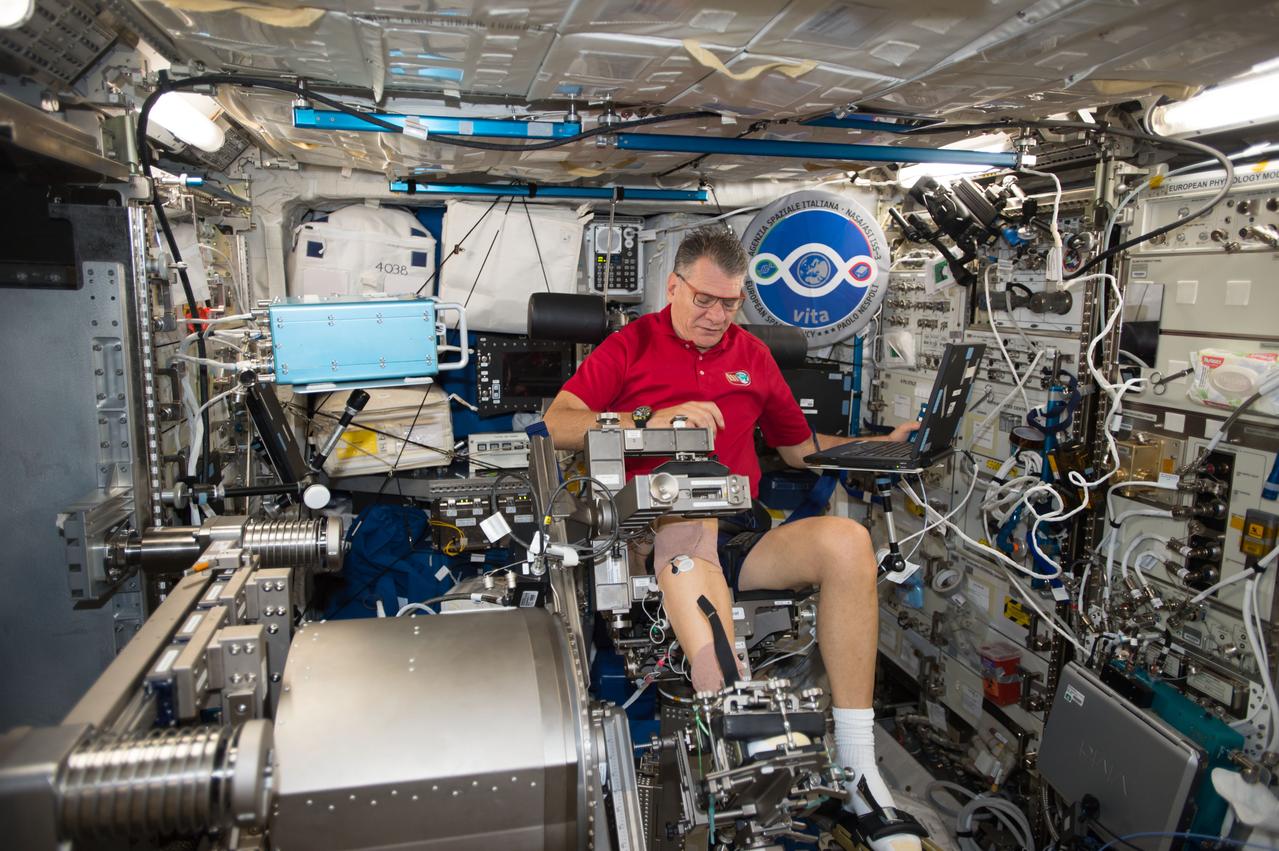 iss052e024957 (Aug. 1, 2017) --- Astronaut Paolo Nespoli ingressed the Muscle Atrophy Research & Exercise System (MARES) chair in the Columbus module and adjusted pads and constraints for the Sarcolab-3 ankle protocol. The data collected for Sarcolab-3 will be compared to pre and postflight measurements to assess the impact of hypothesized microgravity induced muscle loss.