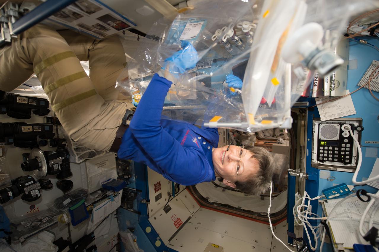 iss052e062035 (8/9/2017) --- NASA astronaut Peggy Whitson is photographed performing Cardiac Myocytes investigation operations. The Conversion of Adipogenic Mesenchymal Stem Cells into Mature Cardiac Myocytes (Cardiac Myocytes) investigation uses the microgravity environment of space to examine how stem cells differentiate into specialized heart cells (cardiac myocytes).
