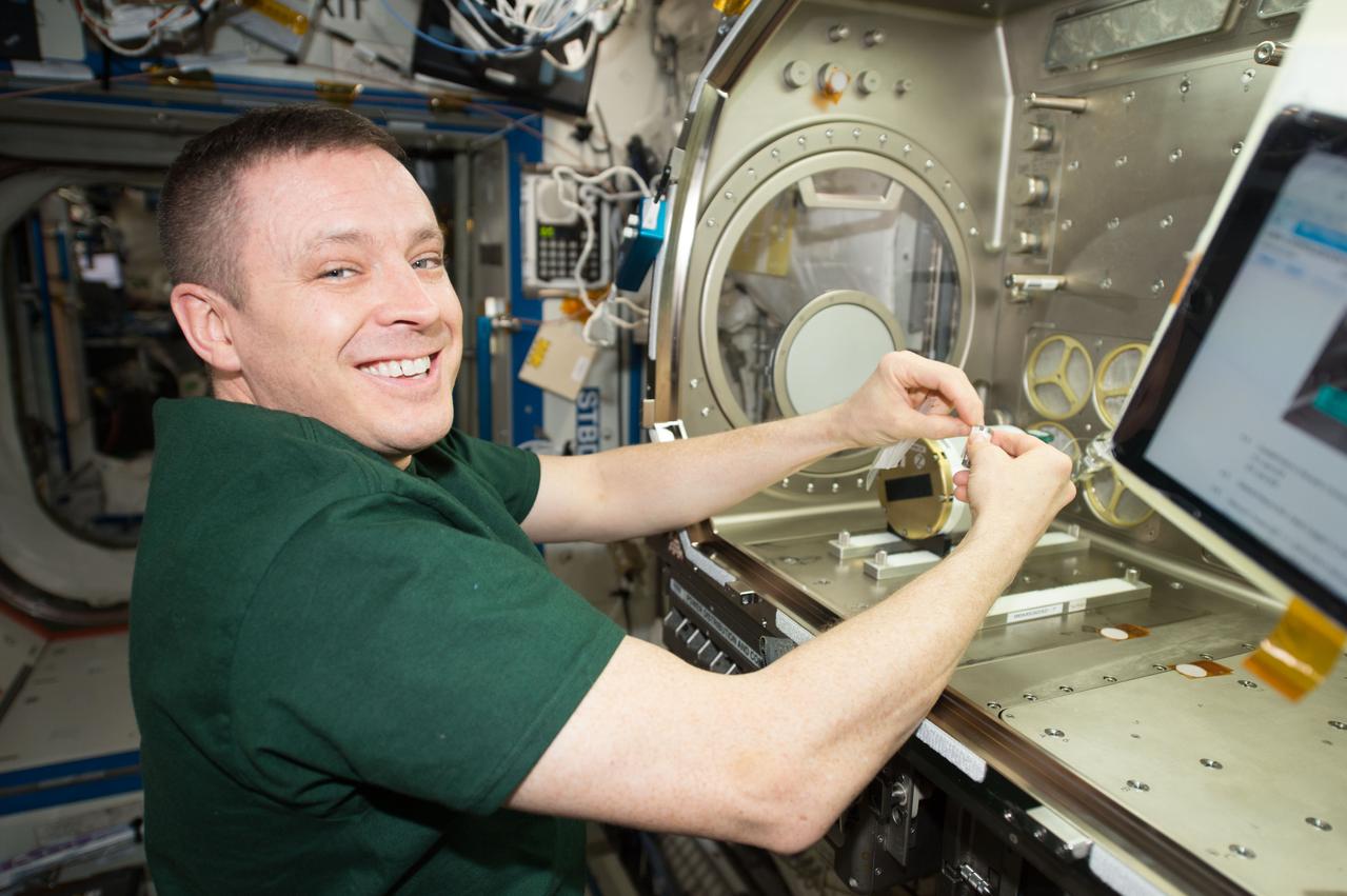iss052e075804 (Aug. 30, 2017) --- NASA astronaut Jack Fischer working in the Microgravity Sciences Glovebox (MSG) work volume to set up the Eli Lily-Lyophilization experiment. Eli Lily-Lyophilization examines freeze-drying processes in the microgravity environment aboard the International Space Station (ISS) to improve the understanding of how food, drugs and other compounds are preserved in space.