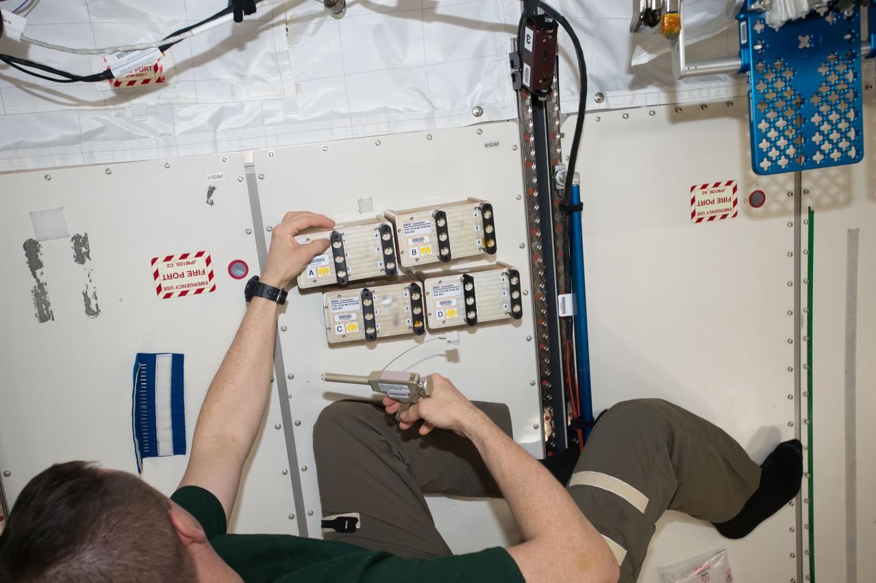 iss052e079049 (Aug. 31, 2017) --- NASA astronaut Jack Fischer with four cansiters of the Biological Research in Canisters-22 (BRIC-22) experiment in the Japanese Experiment Module (JEM) Pressurized Module (JPM). BRIC-22 studies the stress response in plants by comparing 8 different variants of thale cress (Arabidopsis thaliana) in the microgravity environment.