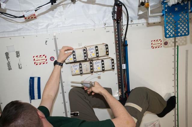 NASA image: Biological Research in Canisters-22 (BRIC-22)