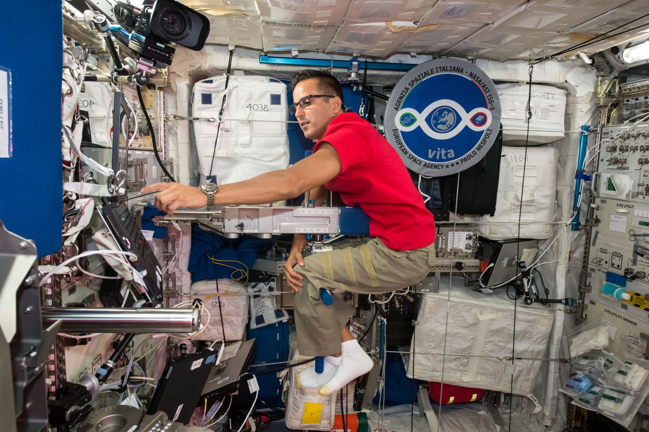 iss053e059889 (Sept. 28, 2017) --- Astronaut Joe Acaba calculates his mass inside the Columbus laboratory module using the Space Linear Acceleration Mass Measurement Device (SLAMMD). The device generates a known force against a crew member mounted on an extension arm with the resulting acceleration used to calculate the subject’s mass.