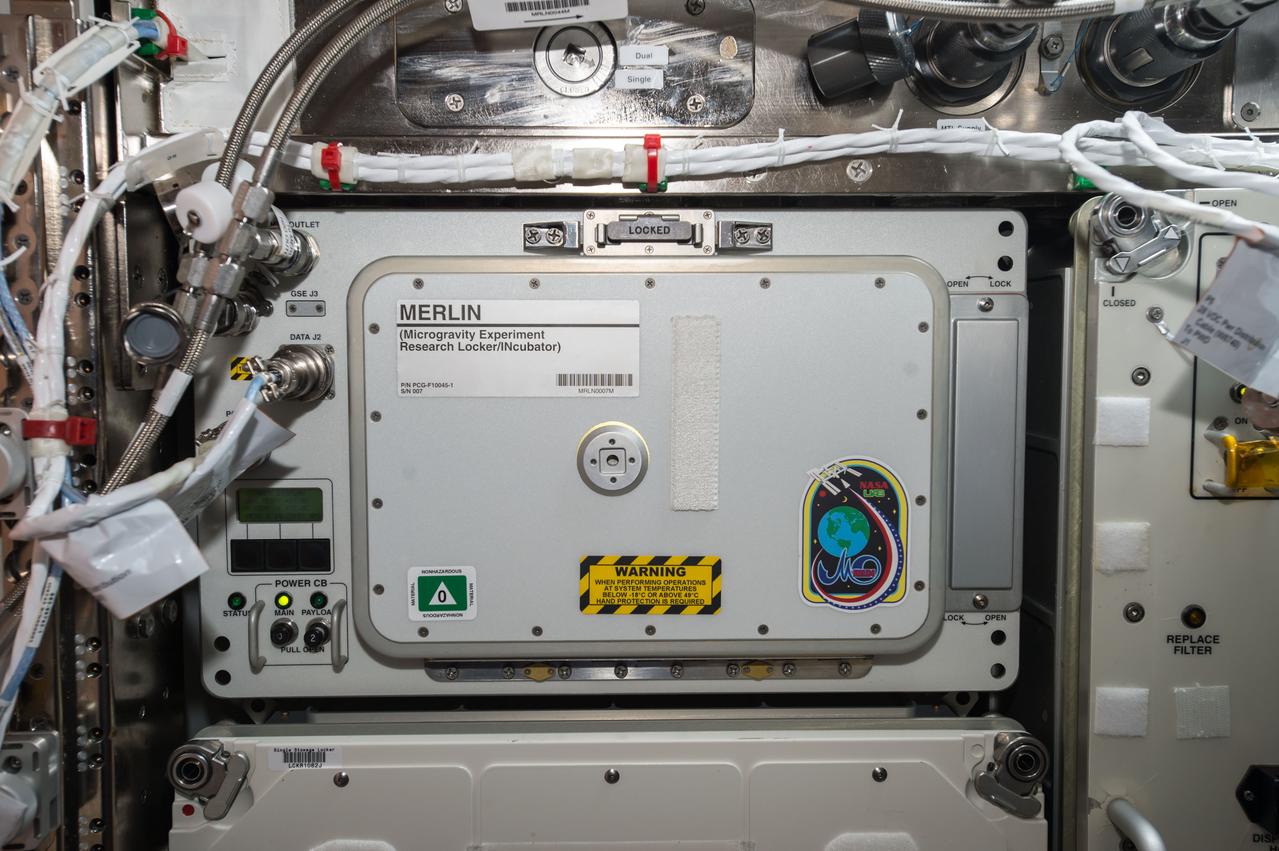 iss053e199088 (Nov. 15, 2017) --- Microgravity Experiment Research Locker/Incubator (MERLIN) provides a thermally controlled environment for scientific experiments. MERLIN is capable of providing temperatures between -20oC (-4oF) and +48.5oC (+119oF)