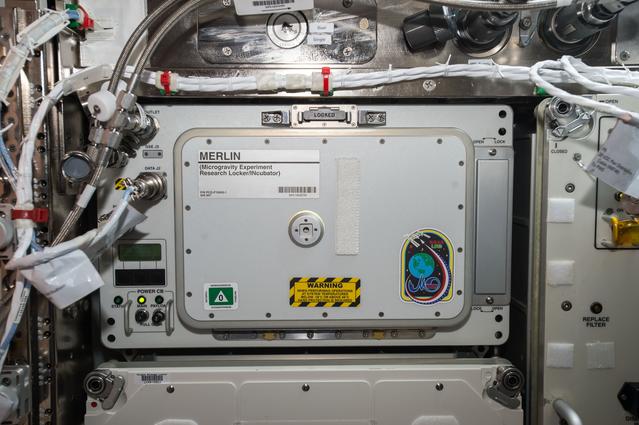 NASA image: MERLIN Sample Transfer