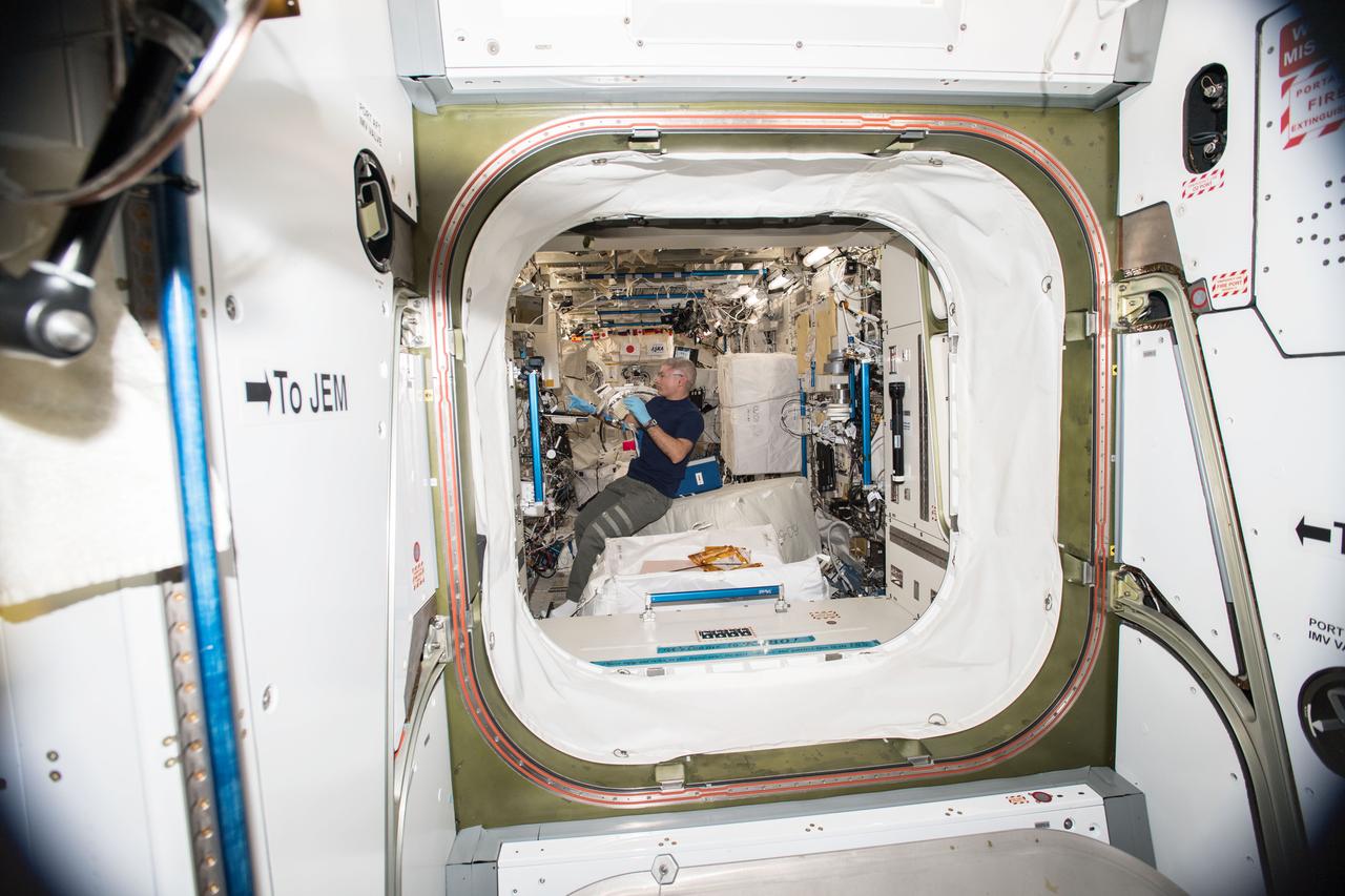 iss054e001241 (Dec. 18, 2017) --- NASA astronaut Mark Vande Hei installs a sample for the Zebrafish Muscle 2 experiment in the Kibo Japanese Experiment Pressurized Module (JPM) to study the effects of muscle atrophy in space.