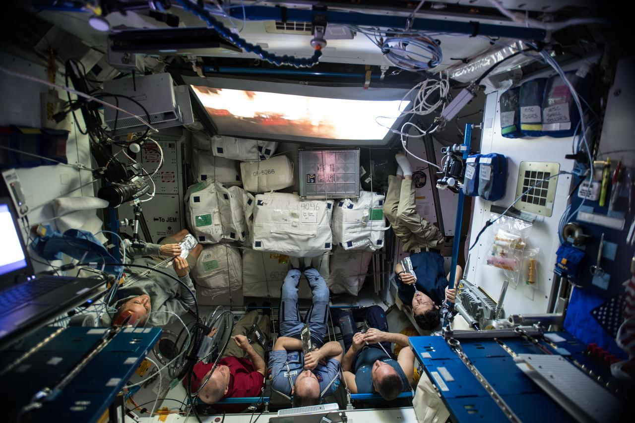 iss054e004175 (Dec. 23, 2017) --- Expedition 54 crew members watch the movie "Star Wars: The Last Jedi" on the big screen in the Harmony module. From left, are Flight Engineers Joe Acaba and Scott Tingle, Commander Alexander Misurkin, and Flight Engineers Anton Shkaplerov and Norishige Kanai.