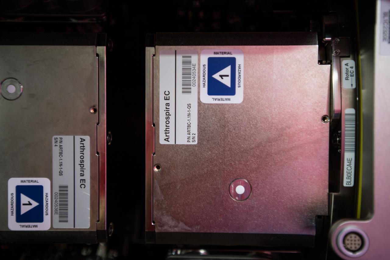 iss054e005660 (Dec. 27, 2017) --- Experiment Containers (EC) for the Arthrospira B experiment inside BioLab to test the oxygen production of plants in space for a closed regenerative life support system.