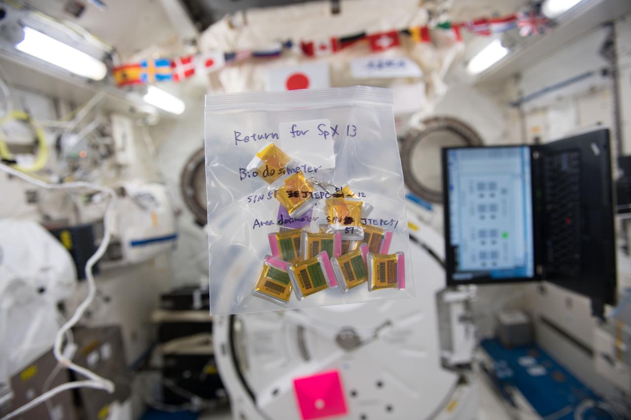 iss054e019981 (1/9/2018) --- Photo documentation of Bio Dosimeters removed form the Japanese Experiment Module (JEM) Tissue Equivalent Proportional Counters (J-TEPC) packed in a ziplock bag for return to Earth. Photo was taken in the Kibo Japanese Experiment Pressurized Module (JPM) aboard the International Space Station (ISS) during Position Sensitive Tissue Equivalent Proportional Chamber (PS-TEPC) experiment operations (OPS).