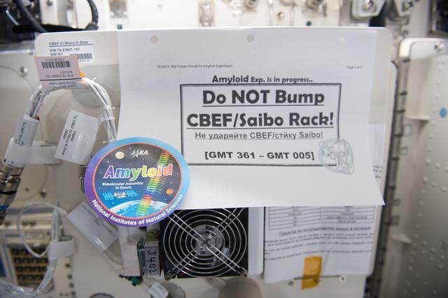 NASA image: CBEF during Amyloid Experiment OPS