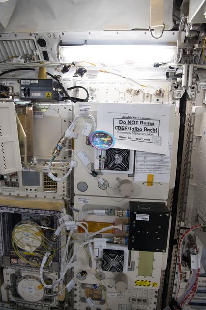 NASA image: CBEF during Amyloid Experiment OPS