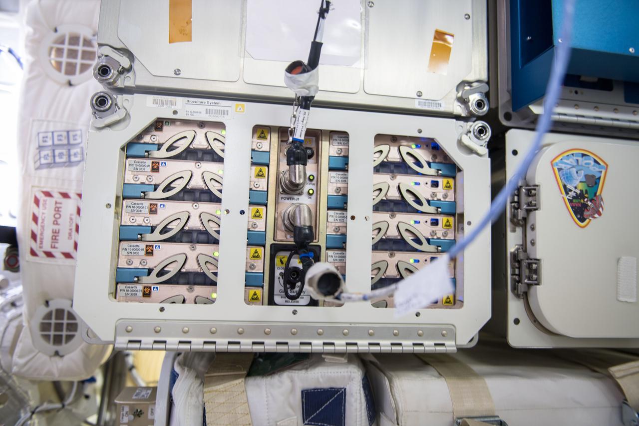 iss054e020928 (1/12/2018) --- Photo documentation of the Bioculture System Facility installed in the SpaceX Dragon Commercial Resupply Services-13 (CRS-13) spacecraft for return to Earth. The Bioculture System Hardware Validation (Cell Science-Validation) tests the performance and life-support capability of a new cell culture hardware system for use aboard the International Space Station (ISS).