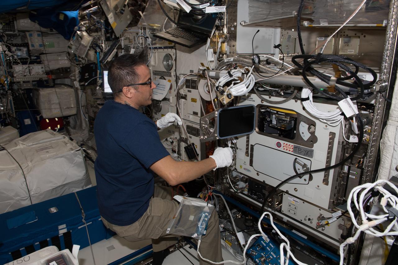 iss054e023776 (Jan. 26, 2018) --- NASA astronaut Joe Acaba removing an Experiment Container (EC) on the European Modular Cultivation System (EMCS) for the the first run of the Plant Gravity Perception experiment to test the gravity-sensing ability of plants in microgravity.