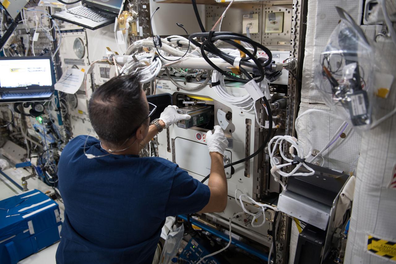 iss054e023800 (Jan. 26, 2018) --- NASA astronaut Joe Acaba placing an Experiment Container (EC) on the European Modular Cultivation System (EMCS) for the the first run of the Plant Gravity Perception experiment to test the gravity-sensing ability of plants in microgravity.