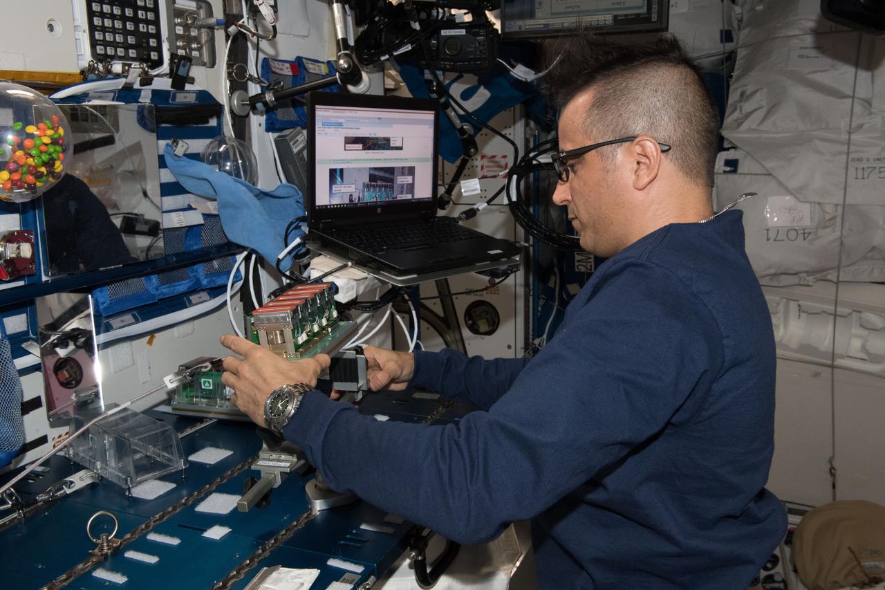 iss054e052250 (Feb. 20, 2018) --- NASA astronaut Joe Acaba removes Seed Cassettes for the Plant Gravity Perception experiment, which tests the gravity sensing ability of plants in microgravity.